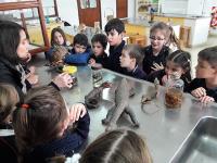 2018-LaboratorioAventura-000