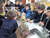 2018-LaboratorioAventura-001