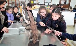 2018-LaboratorioAventura-002