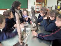 2018-LaboratorioAventura-003