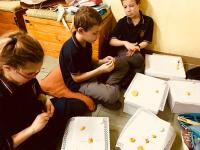 2018-PastoralComunion-010