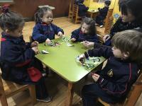 2018-SalaVioletaTurnoManana-004