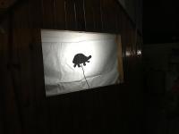 2018-SalaVioletaTurnoManana-005