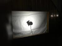 2018-SalaVioletaTurnoManana-006