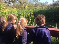 2018-VisitaEcologica-001