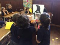 2018-Welcometo1Year-010