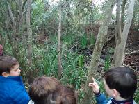 2019-AprendiendoACuidarElMedioambiente-004