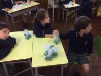 2019-ColeccionDeTapitas-005