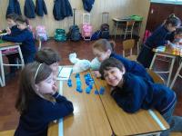 2019-ColeccionDeTapitas-011