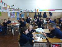 2019-ColeccionDeTapitas-013