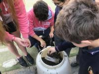 2019-Huerta1roEP6toES-007