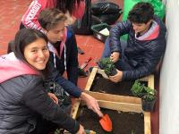 2019-ProyectoAmbienteHuerta-004