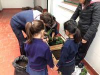 2019-ProyectoAmbienteHuerta-005