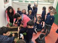 2019-ProyectoAmbienteHuerta-013