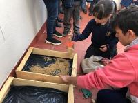 2019-ProyectoAmbienteHuerta-016