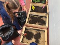 2019-ProyectoAmbienteHuerta-018