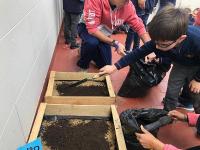 2019-ProyectoAmbienteHuerta-019