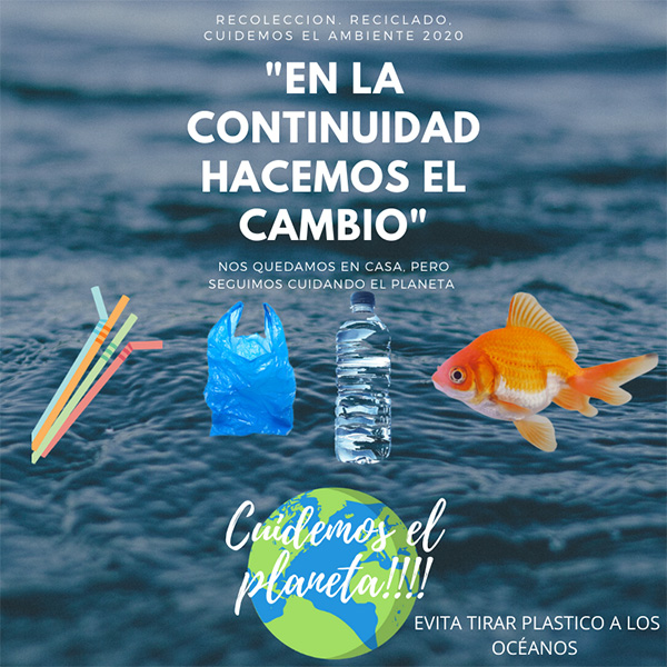 2020-PresentacionProyectoAmbiente-001